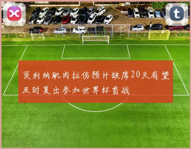 莫利纳肌肉拉伤预计缺席20天有望及时复出参加世界杯首战