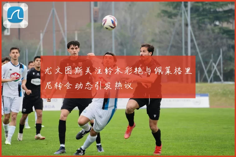 尤文图斯关注铃木彩艳与佩莱格里尼转会动态引发热议