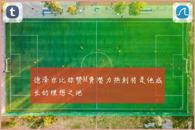 德泽尔比称赞M费潜力热刺将是他成长的理想之地